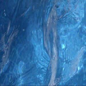 Meet your Posher, Frances